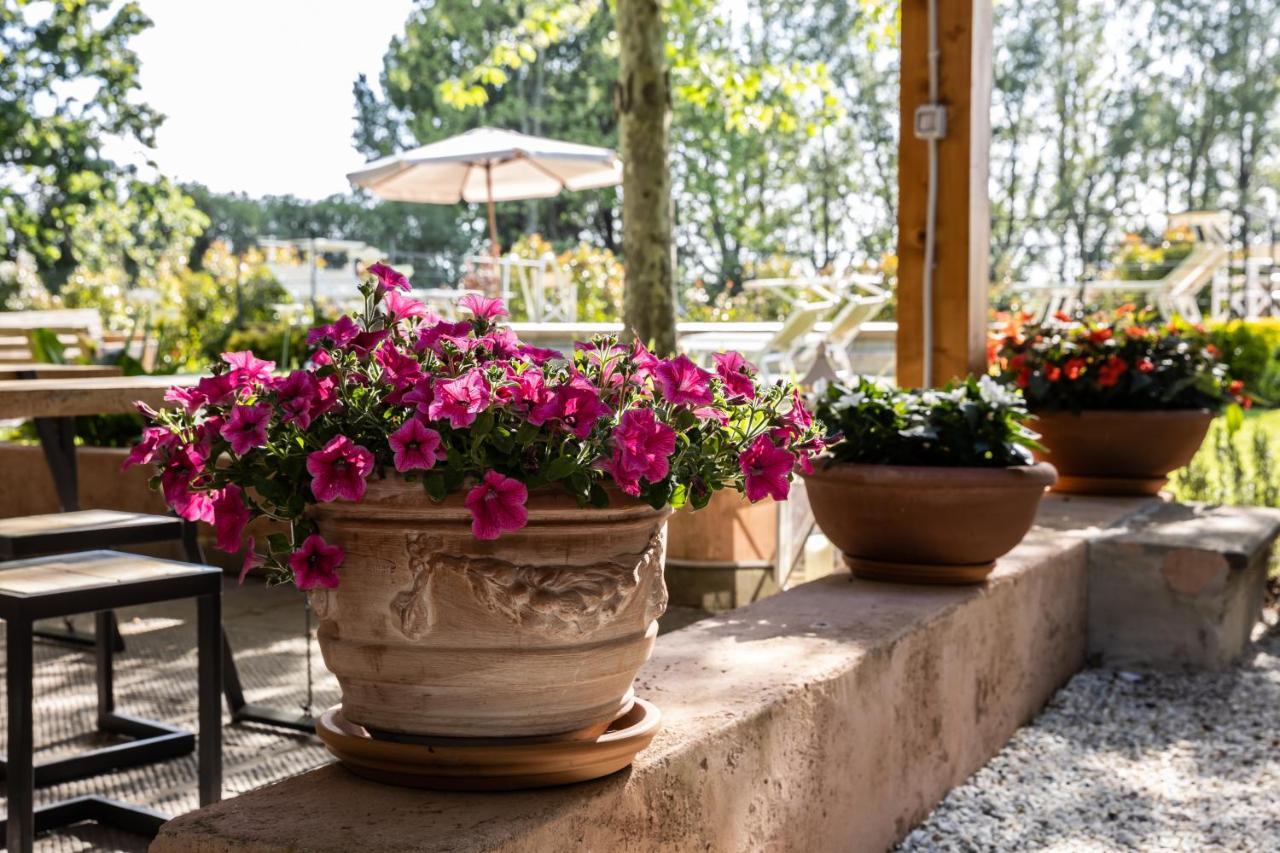 Vecchio Granaio Bed and Breakfast Pisa Exteriör bild
